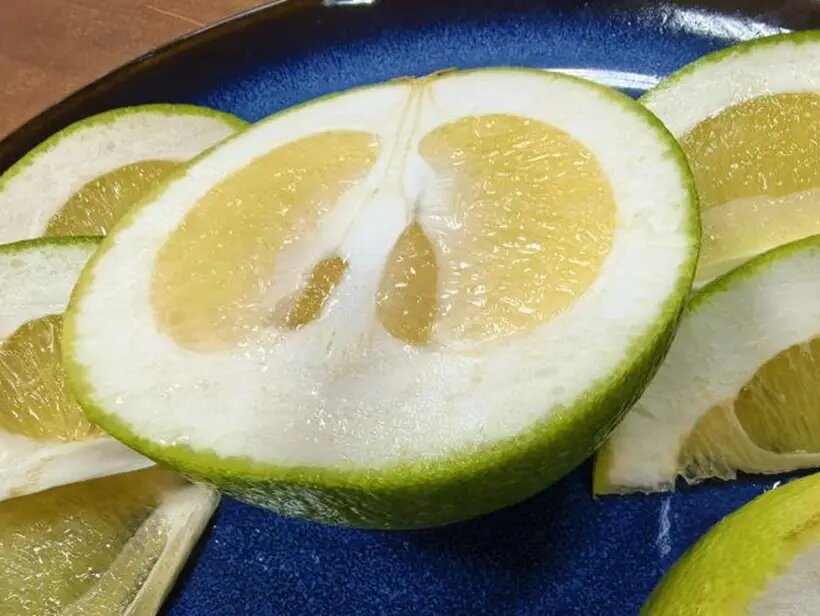    © "Интерфакс". Федор Ларин