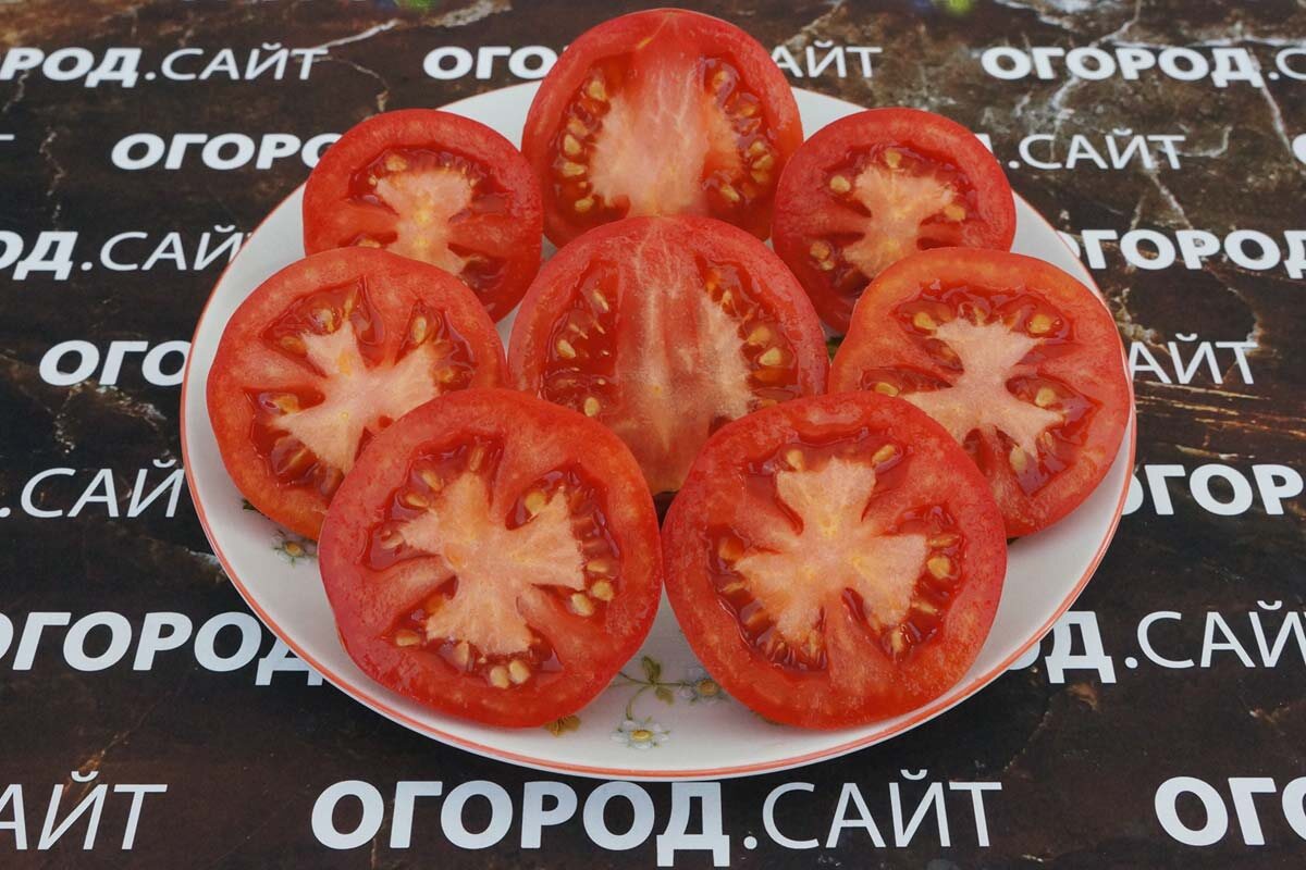 Томат Фонари Фокина, семена можно купить на сайте ОГОРОД.САЙТ