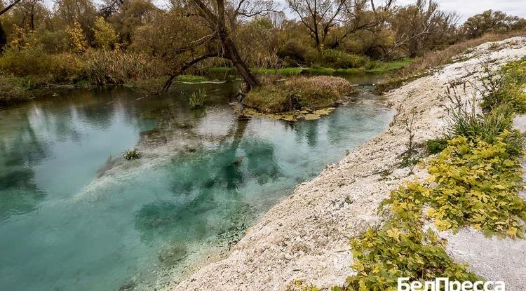 Фото: Павел Колядин