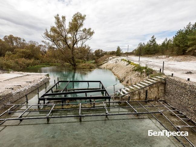 Фото: Павел Колядин
