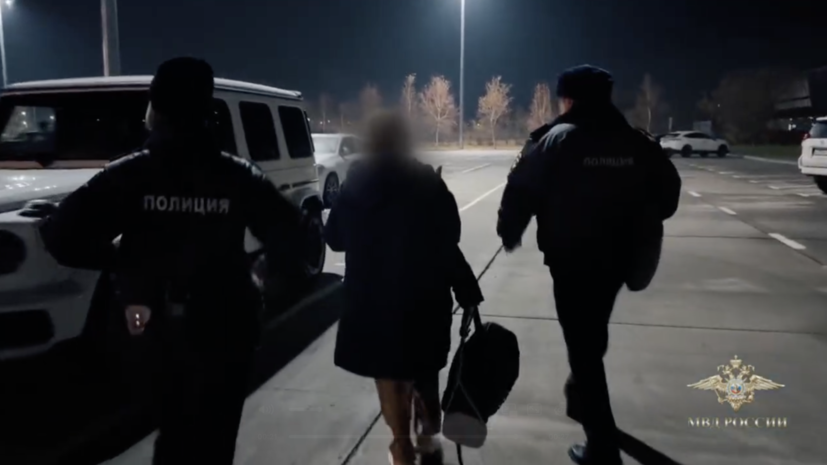    Кадр: видео Telegram-канал Ирины Волк