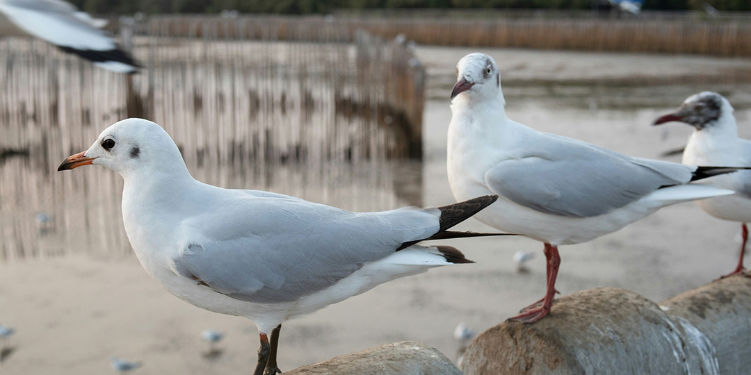Вблизи белорусско-литовской границы продают турбазу – что с ценой