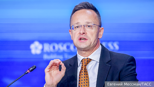     Фото: Евгений Мессман/ТАСС   
 Текст: Катерина Туманова