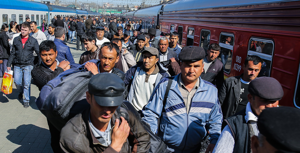 Фото из открытых источников.