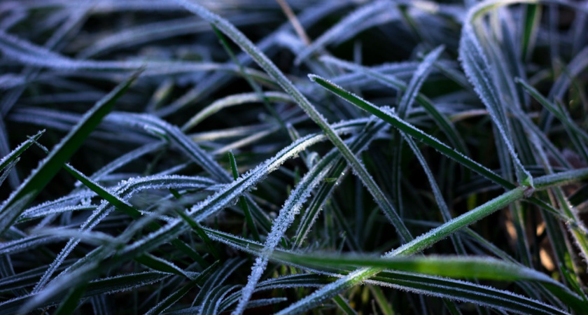    Предзимье идет в Калининградскую область: синоптики рассказали когда ждать морозы и первый снег
