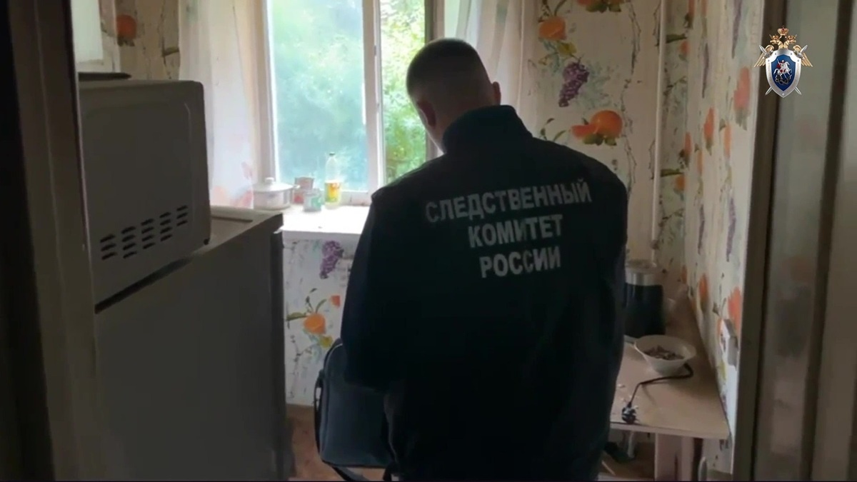 Фото: пресс-служба СУ СКР по Свердловской области  📷
