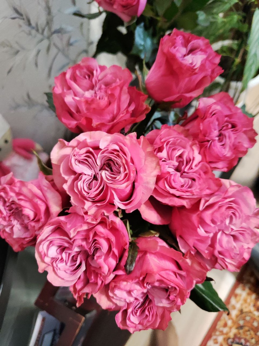 пионовидные розы