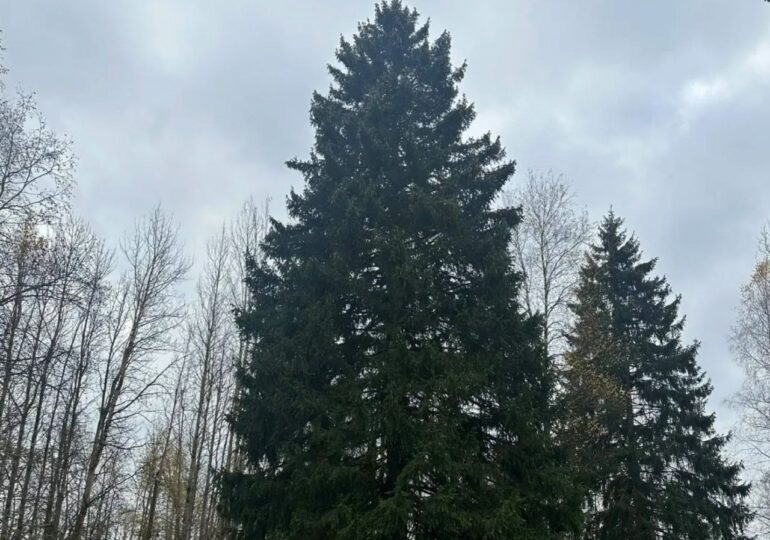Фото: Управление делами президента РФ