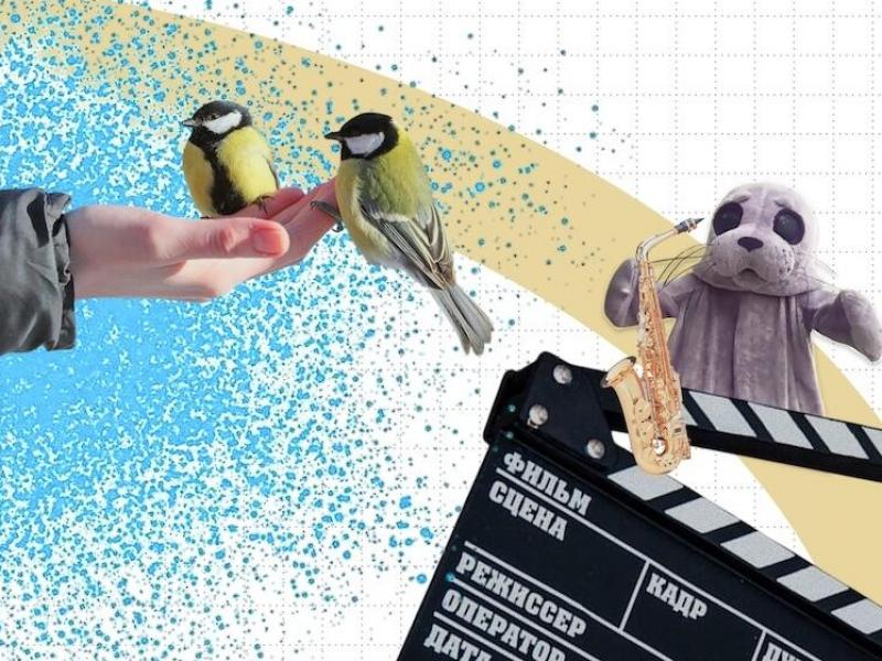 © Обложка: Первый Байкальский