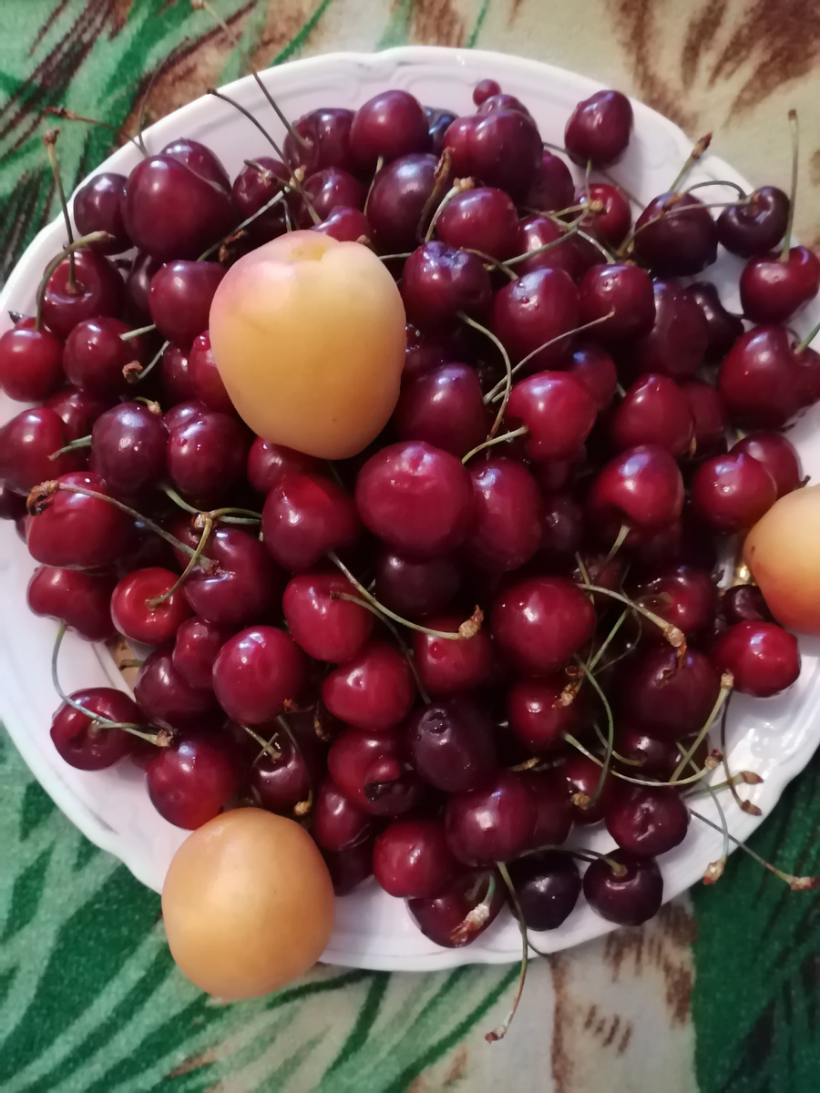 Фото 1. Фруктово-ягодный релакс
