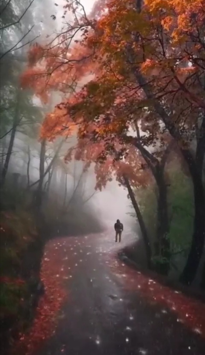 Сначала надо ПОМОЧЬ СЕБЕ. Год-два-три... пребывать в духовном делании. Надо пройти ПУТЬ.
Мы не можем звать людей за собой туда, через что не прошли ещё сами.