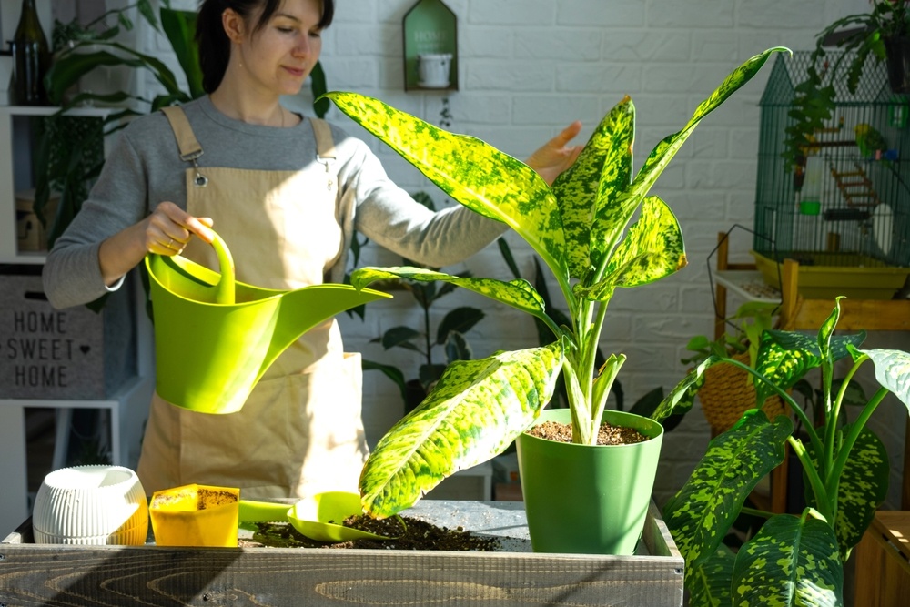 Источник фото shutterstock.com