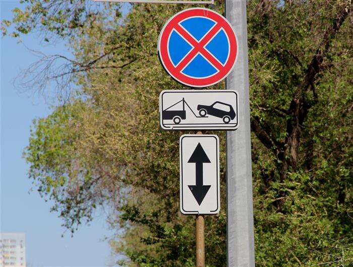    ФОТО: Ламзина Александра