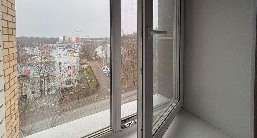    Из окон не дует даже в метель: обычный предмет на подоконнике блокирует сквозняки и источает ароматы леса