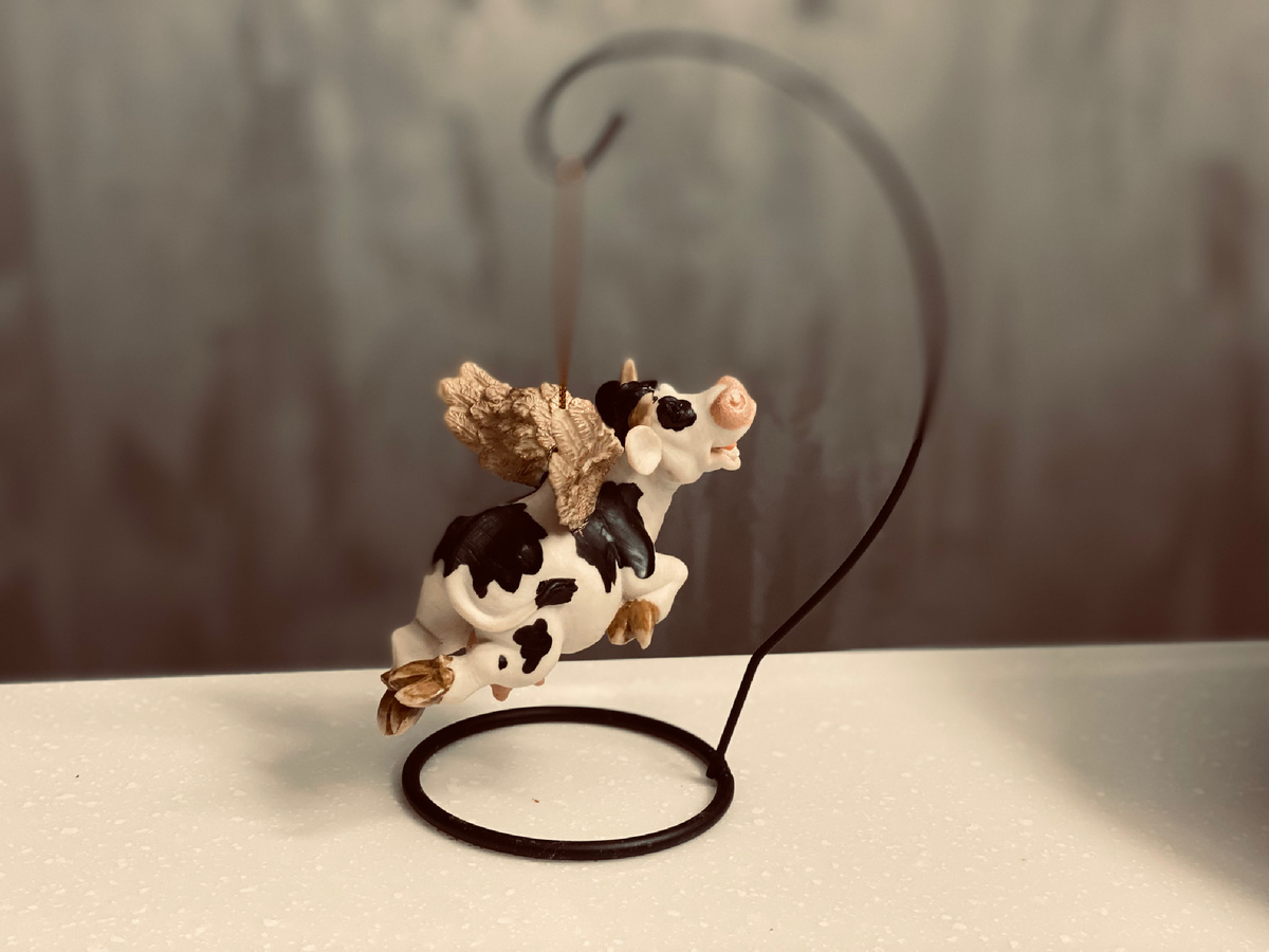 Корова Пегас, с которой я вас знакомила в предыдущей статье, действительно летает. Только ей нужна подставка. Иногда, человеку тоже необходима подставка, чтобы взлететь. На данной площадке— это взаимовыручка. Мне очень обидно, что некоторые авторы закрыли комментарии, потому что к ним перестали заходить в ответ на их посещения. Давайте, помнить про чувство локтя, про поддержку. 