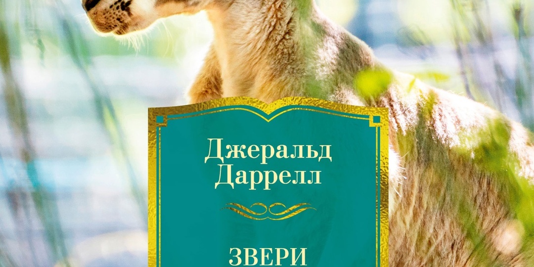 Книжные новинки декабря-2025: переводная проза