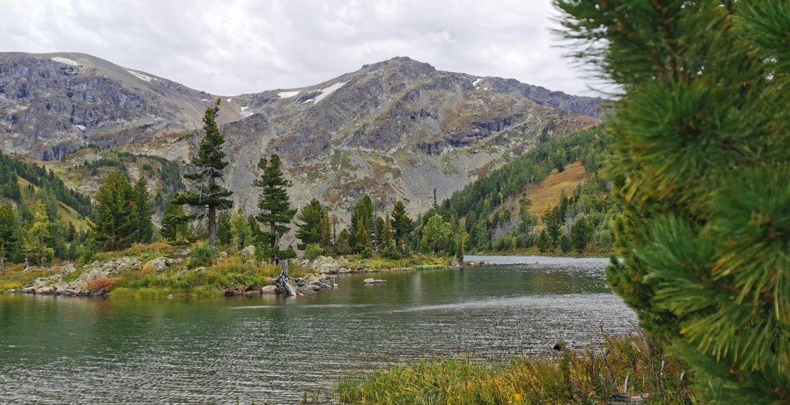    Фото: НИА "Экология"