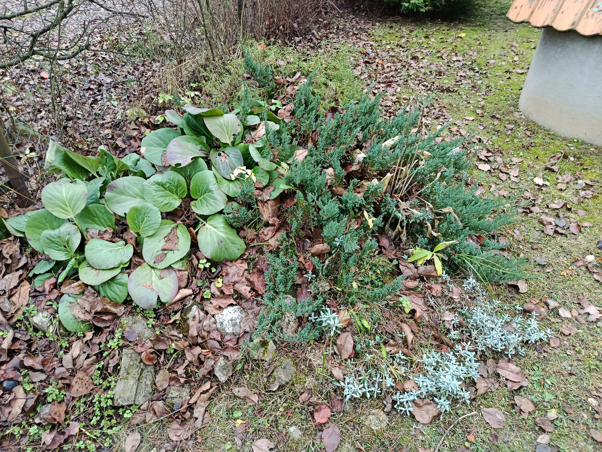 Осенняя горка выглядит не очень презентабельно, но это лучше чем торчащая ржавая проволока
