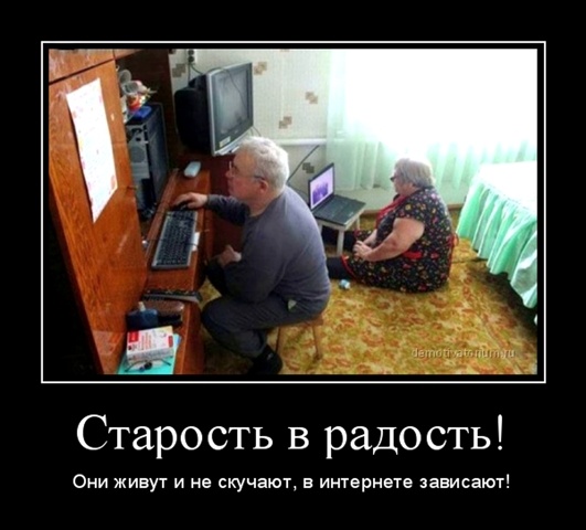 Фото из открытого источника