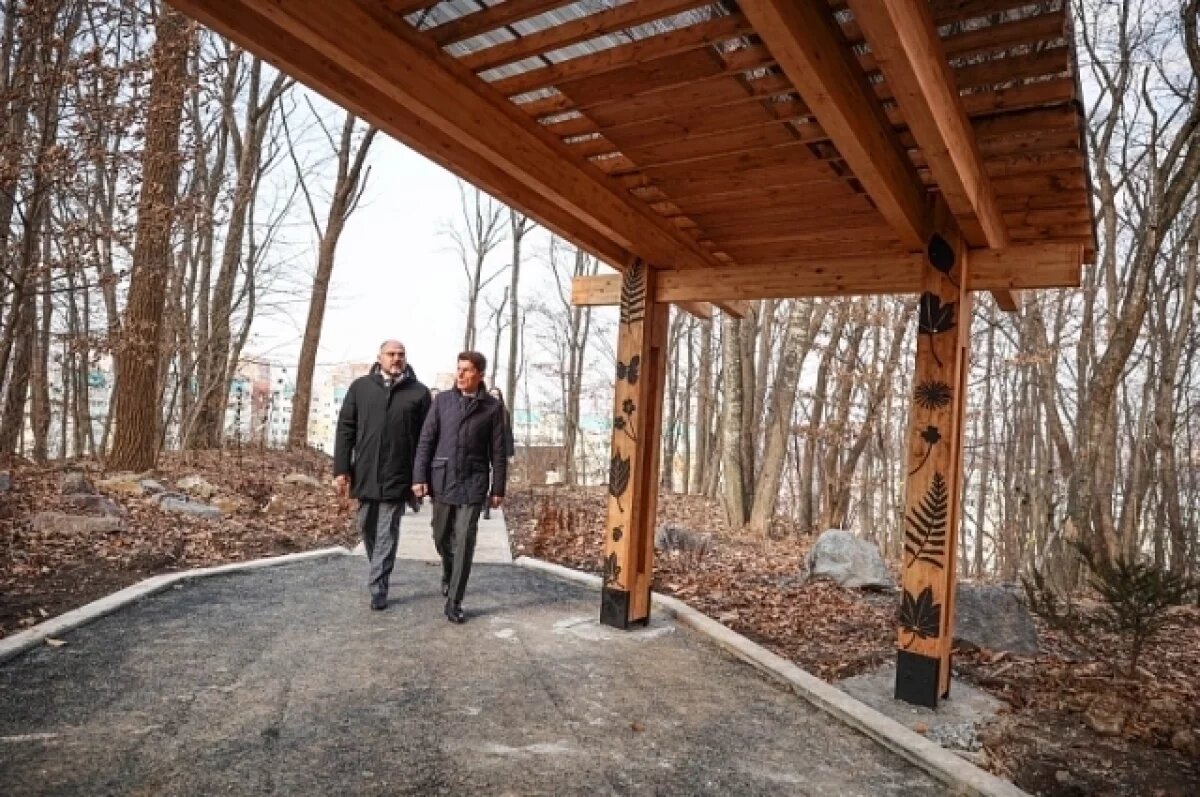    Во Владивостоке завершается создание природного парка на Снеговой Пади