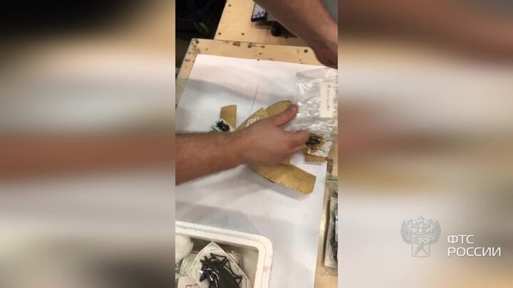    Видео: пресс-служба ФТС