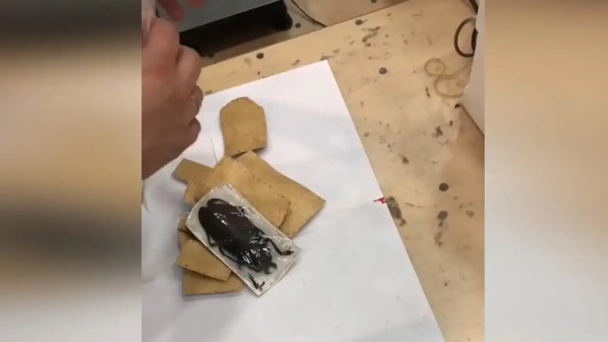     © ФТС России