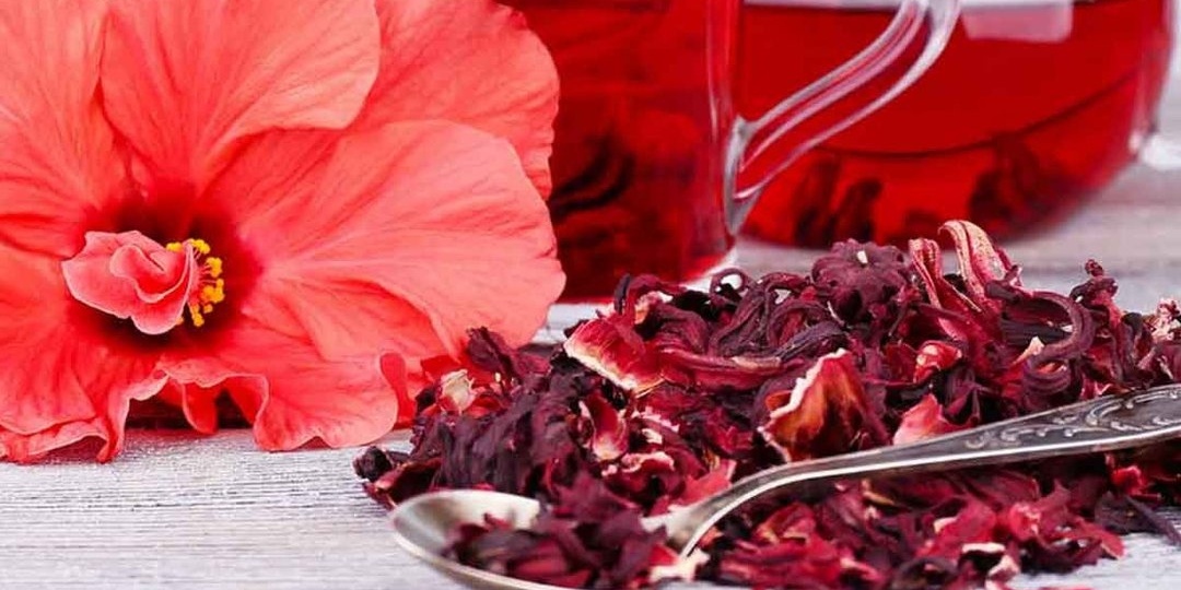 Красный напиток здоровья: как чай каркаде может изменить ваше самочувствие