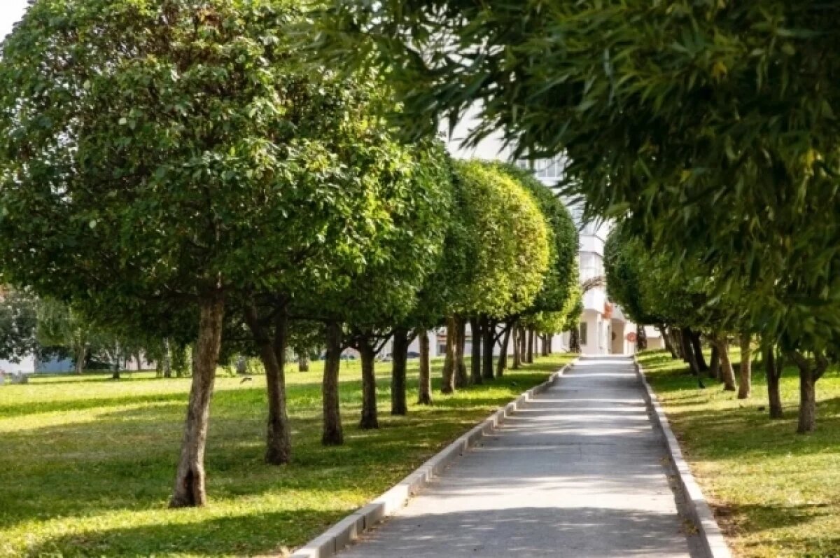    Сквер Ильи Кормильцева появится в Екатеринбурге