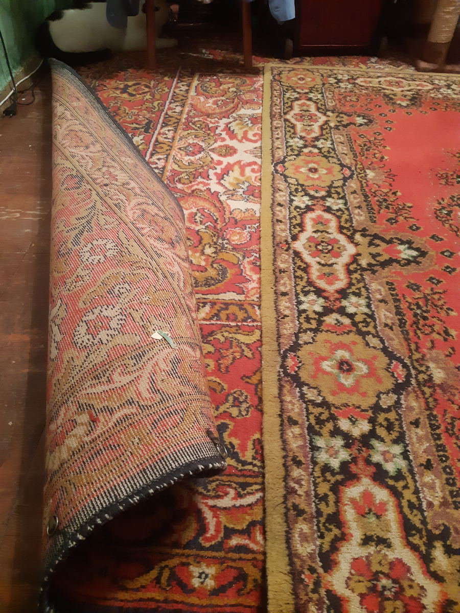 Дом мой достроен, но я в нём один, кошка не хочет со мноооой. Ветер осенний шумит за окном, Йося орёт как дурной:" МАААААААА, МАААОООУУУУУ МАААААА МАААОУУУУ" 