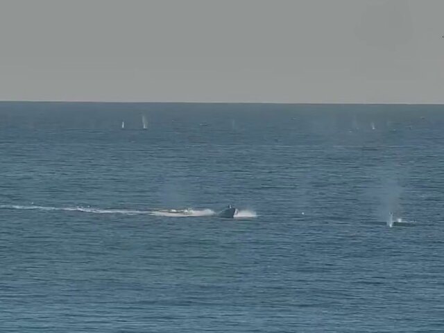    Фото: телеграм-канал "Минобороны России"