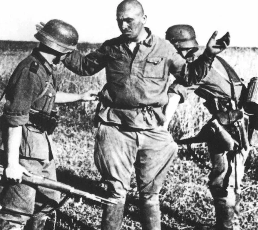 Яндекс картинки