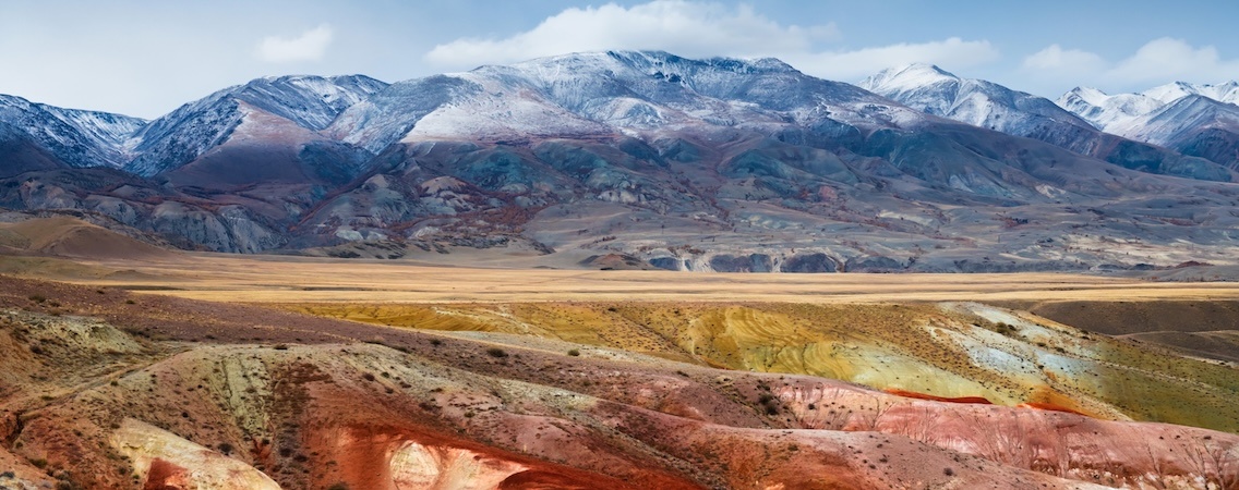  @Olga Gavrilova/Shutterstock