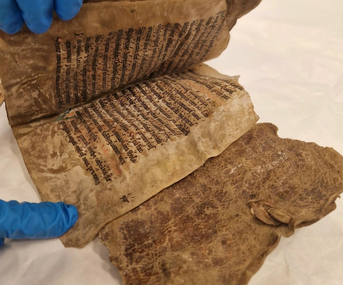 Норвежская книга 13 века. Фото из интернета