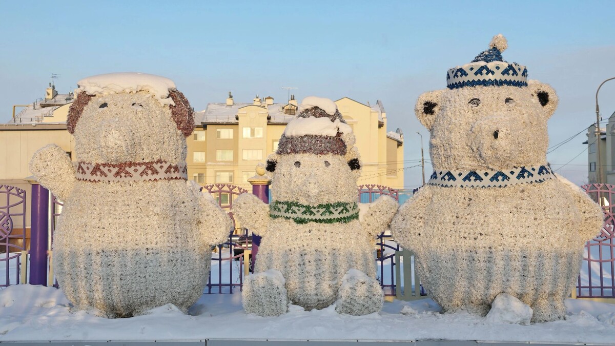    Фото: Андрей Ткачев / «Ямал-Медиа»