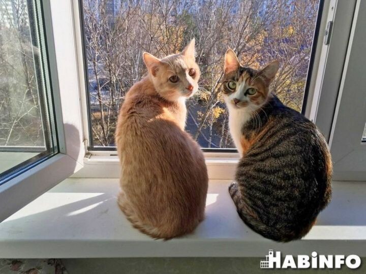    Фото:из архива редакции