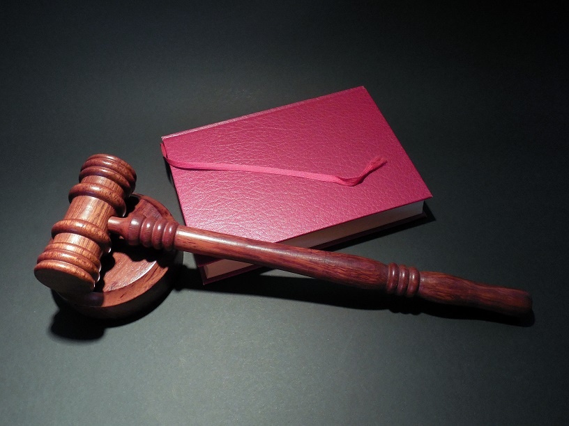    Фото: pxhere.com Василий Шеин