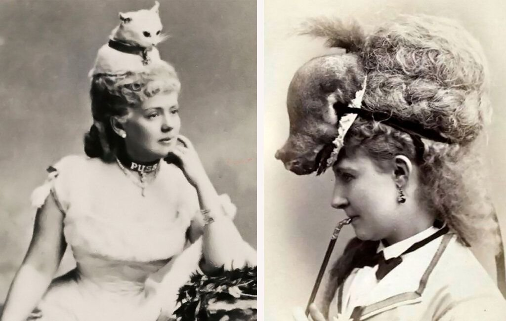 Источник: pulse.mail.ru