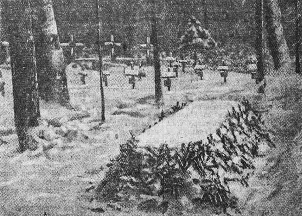 Глубокая рана истории: Зачем нацисты хоронили своих солдат в Ясной Поляне?