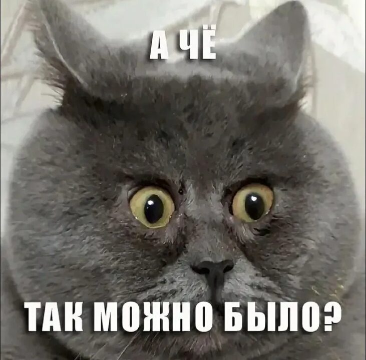 Картинка из интернета