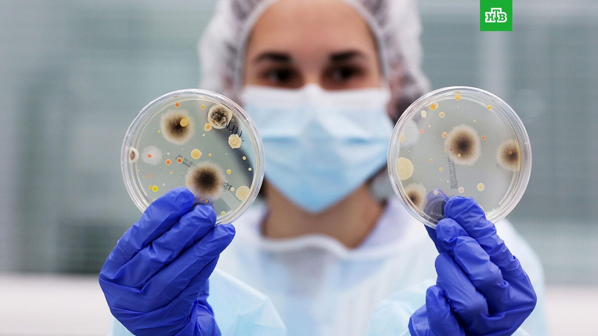    Фото: РИА Новости © 2025, Виталий Тимкив