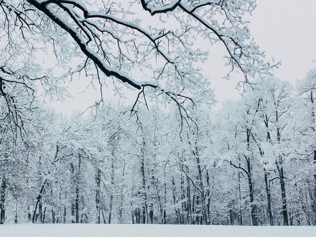    Фото: 123RF.com/alenka2194