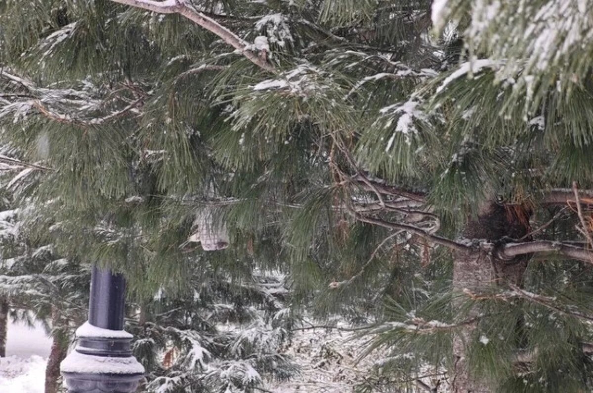    Похолодание ожидается в Иркутской области