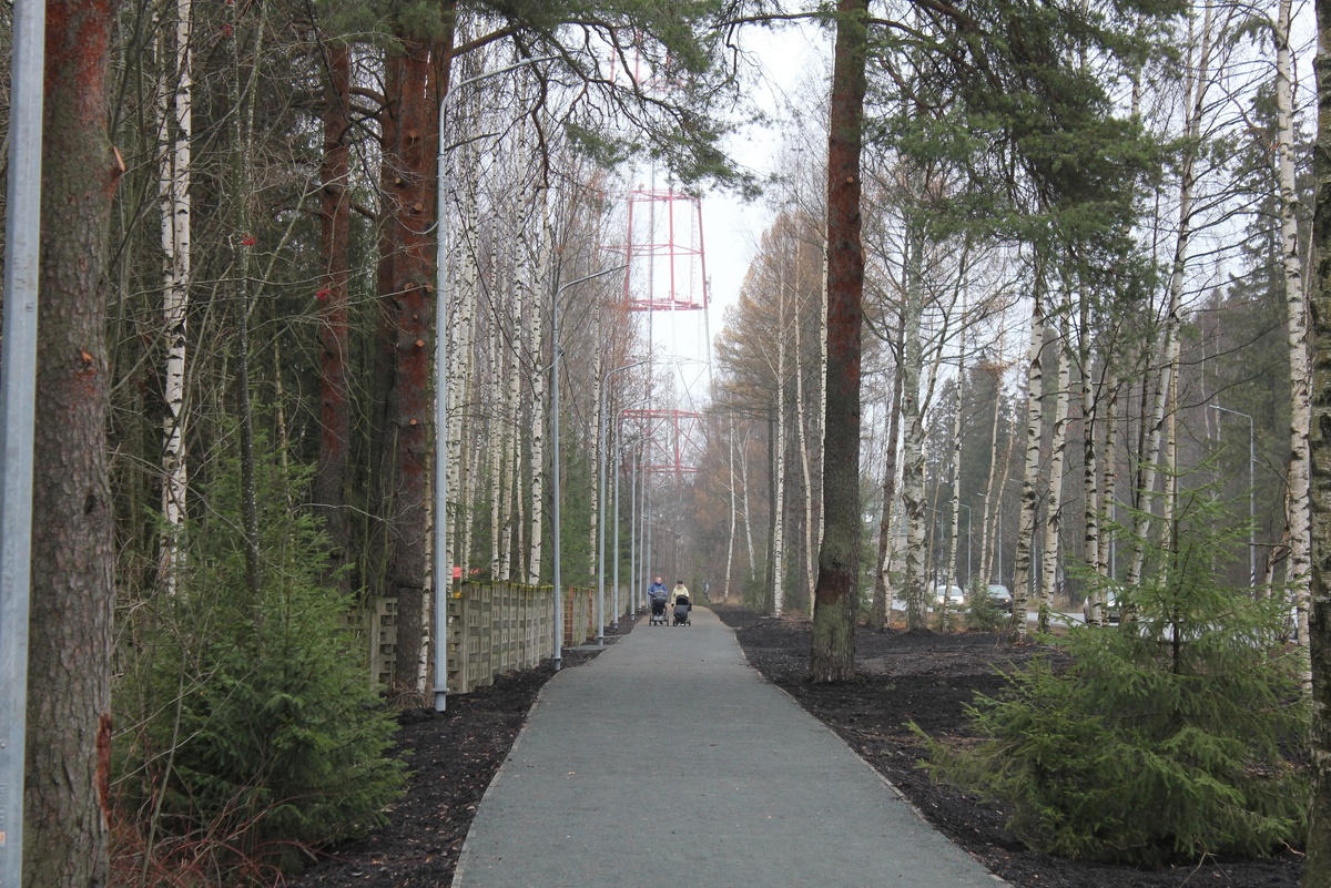    фото: © Администрация Петрозаводска