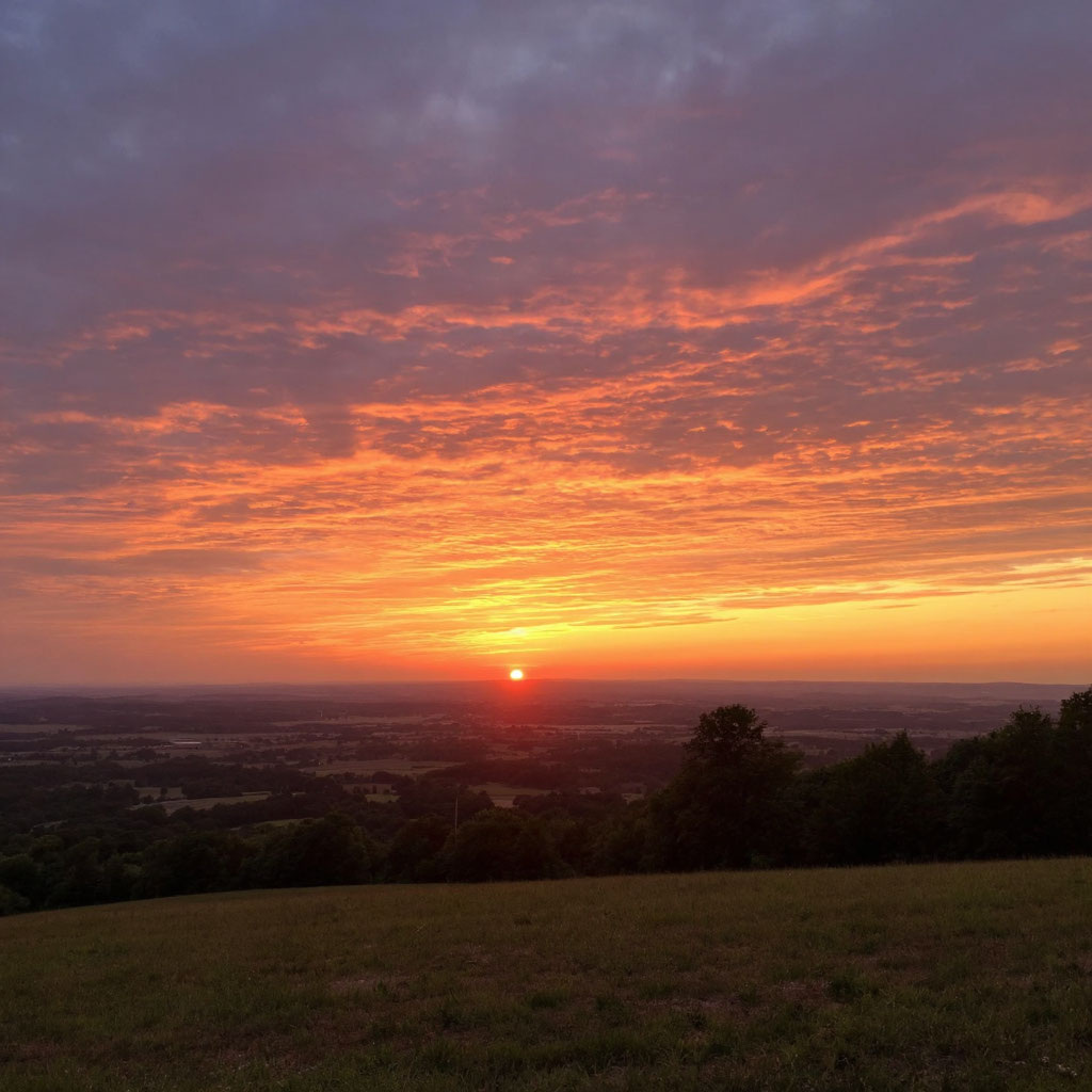 Яндекс Алиса