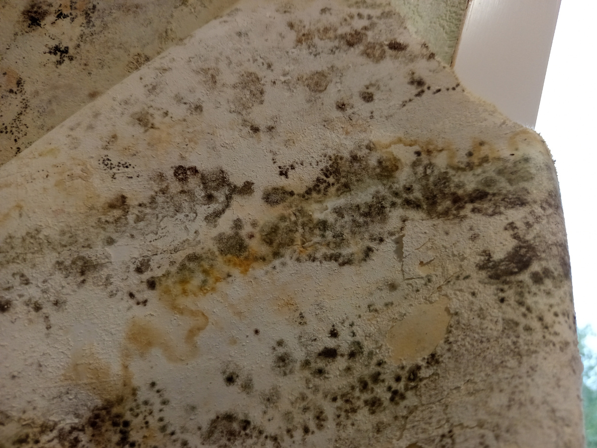 Вздутие и отслоение обоев улучшенного качества, пятна желтого и черного цвета 