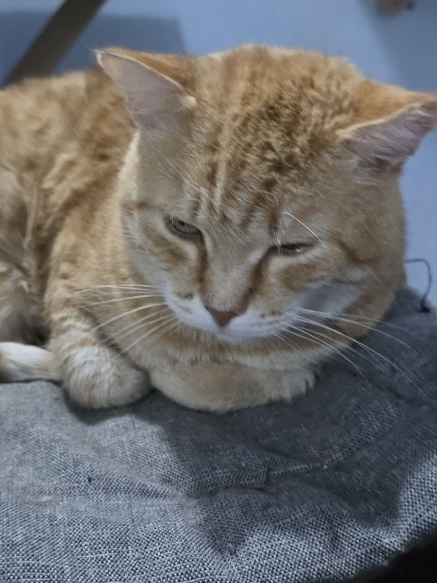 грустный взгляд сквозь зимнюю апатию