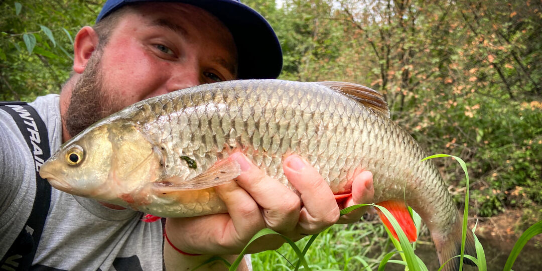 Эта колебалка должна быть у каждого, кто ловит голавля