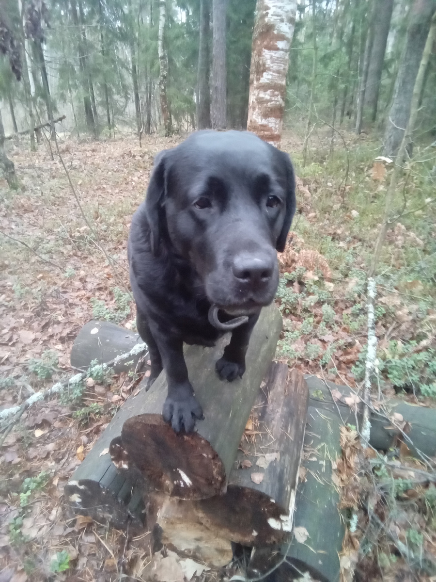 Фото автора. 