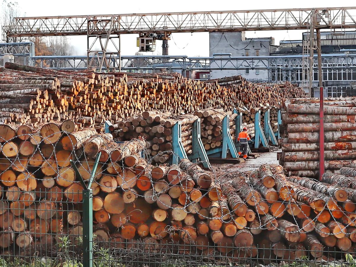 ФОТО Дмитрия СОКОЛОВА