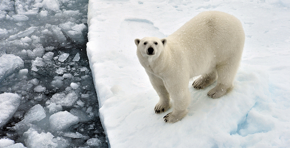 Фото: Лев Федосеев/ТАСС
